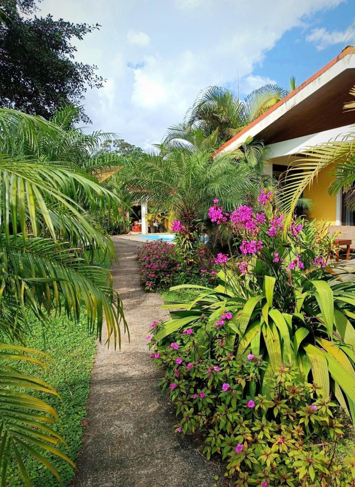 Arenal Villas Tranquilas, Free-Standing Equipped Houses นวยโว อาเรนัล ภายนอก รูปภาพ